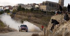Sebastien Loeb